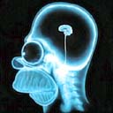 homer_x-ray