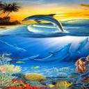dauphins_018