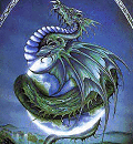 dragon12