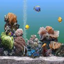 fish00211