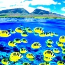 paradise2