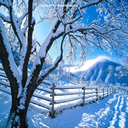 winter03