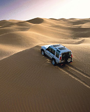 whitejeep